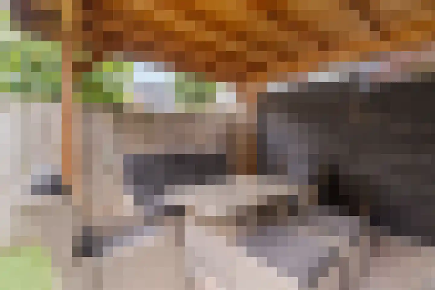 Willem Kloosstraat 15 Waddinxveen thumbnail 33