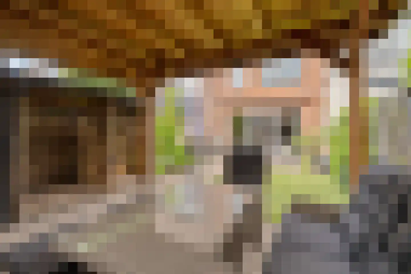 Willem Kloosstraat 15 Waddinxveen thumbnail 34