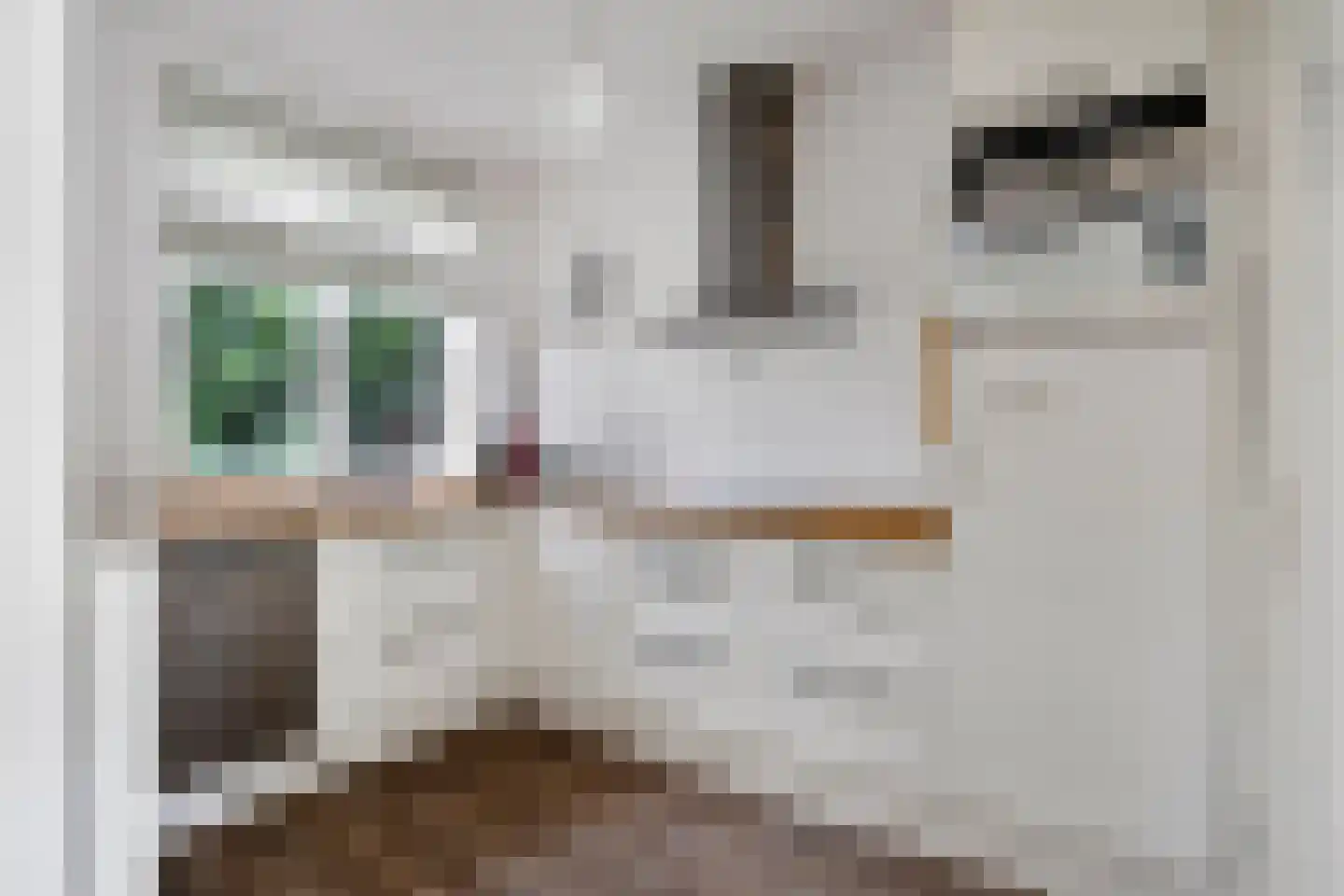 Willem Kloosstraat 16 Breda thumbnail 4
