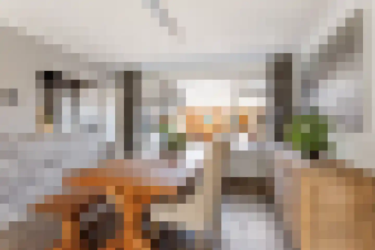 Willem Kloosstraat 17 Nijverdal thumbnail 8