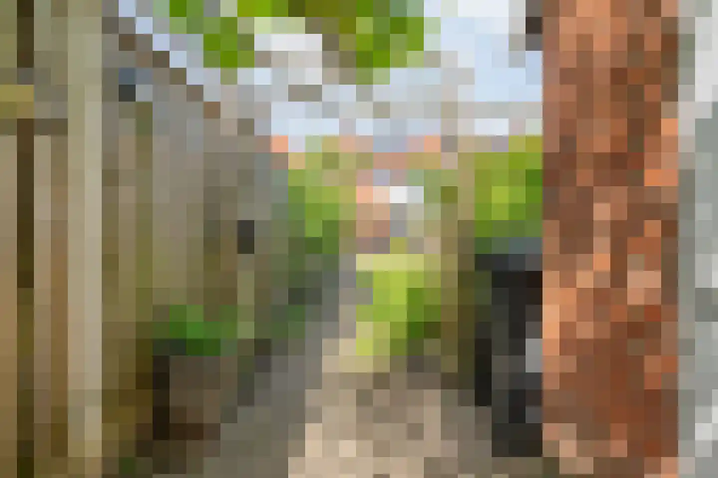 Willem Kloosstraat 18 Almelo thumbnail 27