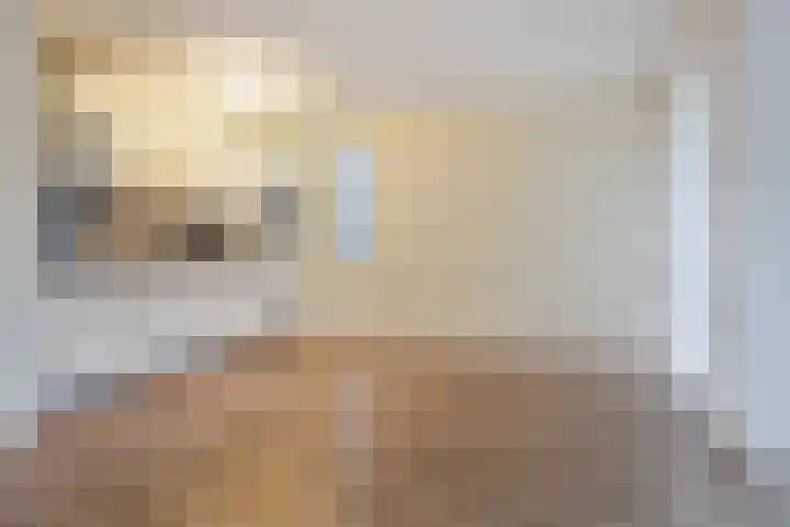 Willem Kloosstraat 18 Terneuzen thumbnail 12