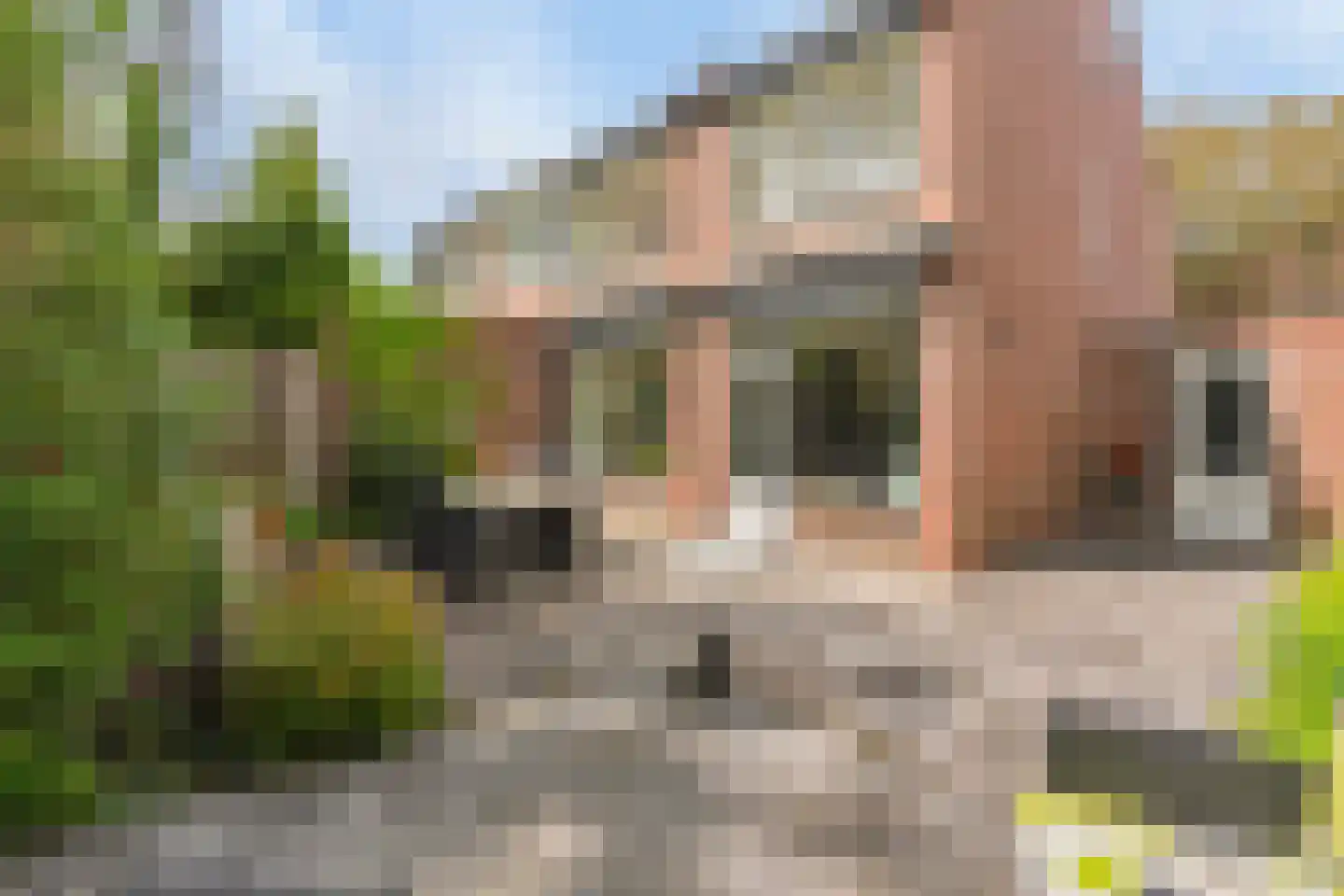 Willem Kloosstraat 19 Landgraaf thumbnail 26