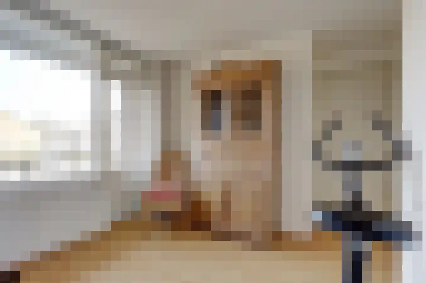 Willem Kloosstraat 2 Spijkenisse thumbnail 26