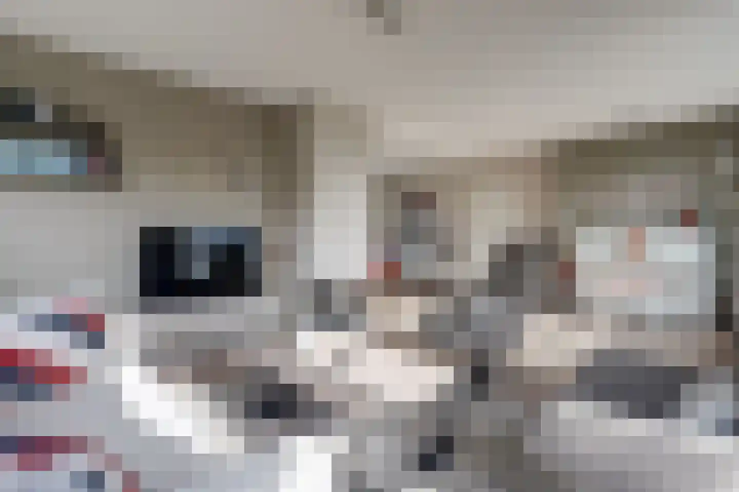 Willem Kloosstraat 2 Spijkenisse thumbnail 5