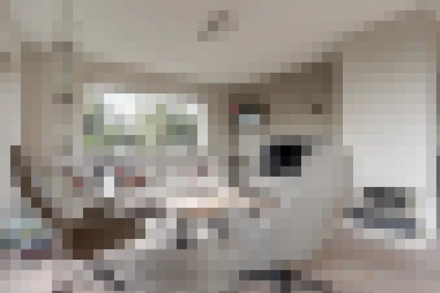 Willem Kloosstraat 2 Spijkenisse thumbnail 7