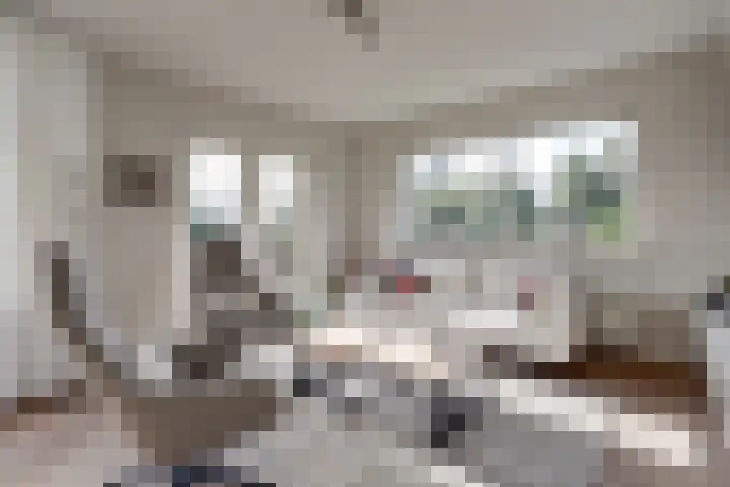 Willem Kloosstraat 2 Spijkenisse thumbnail 8