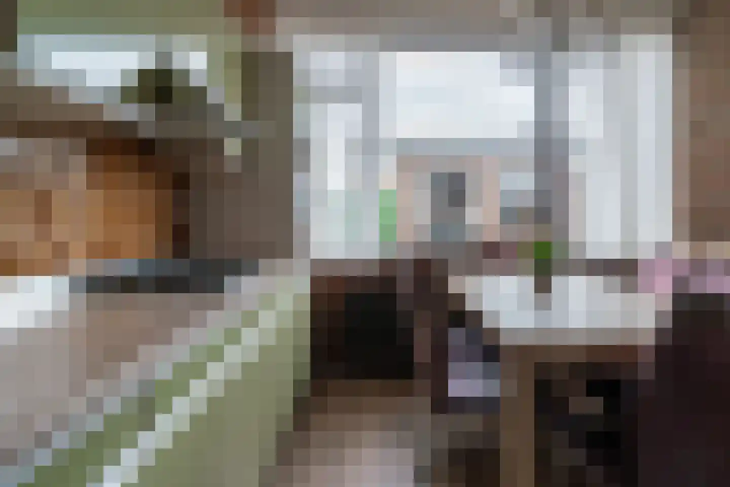 Willem Kloosstraat 24 Zevenaar thumbnail 13