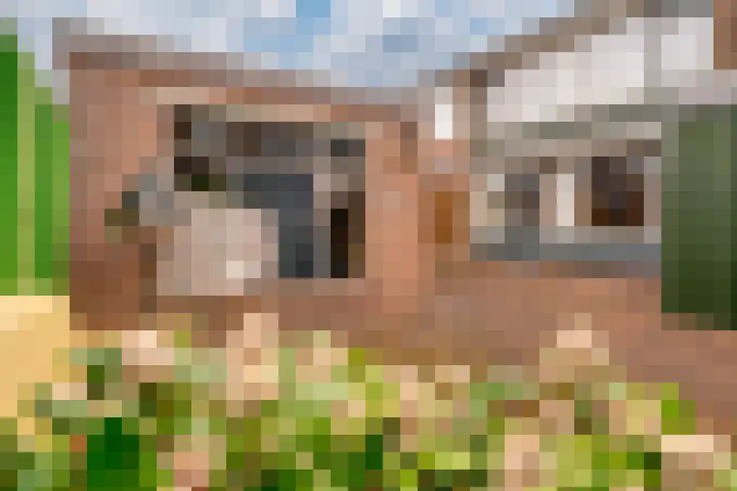 Willem Kloosstraat 24 Zevenaar thumbnail 18