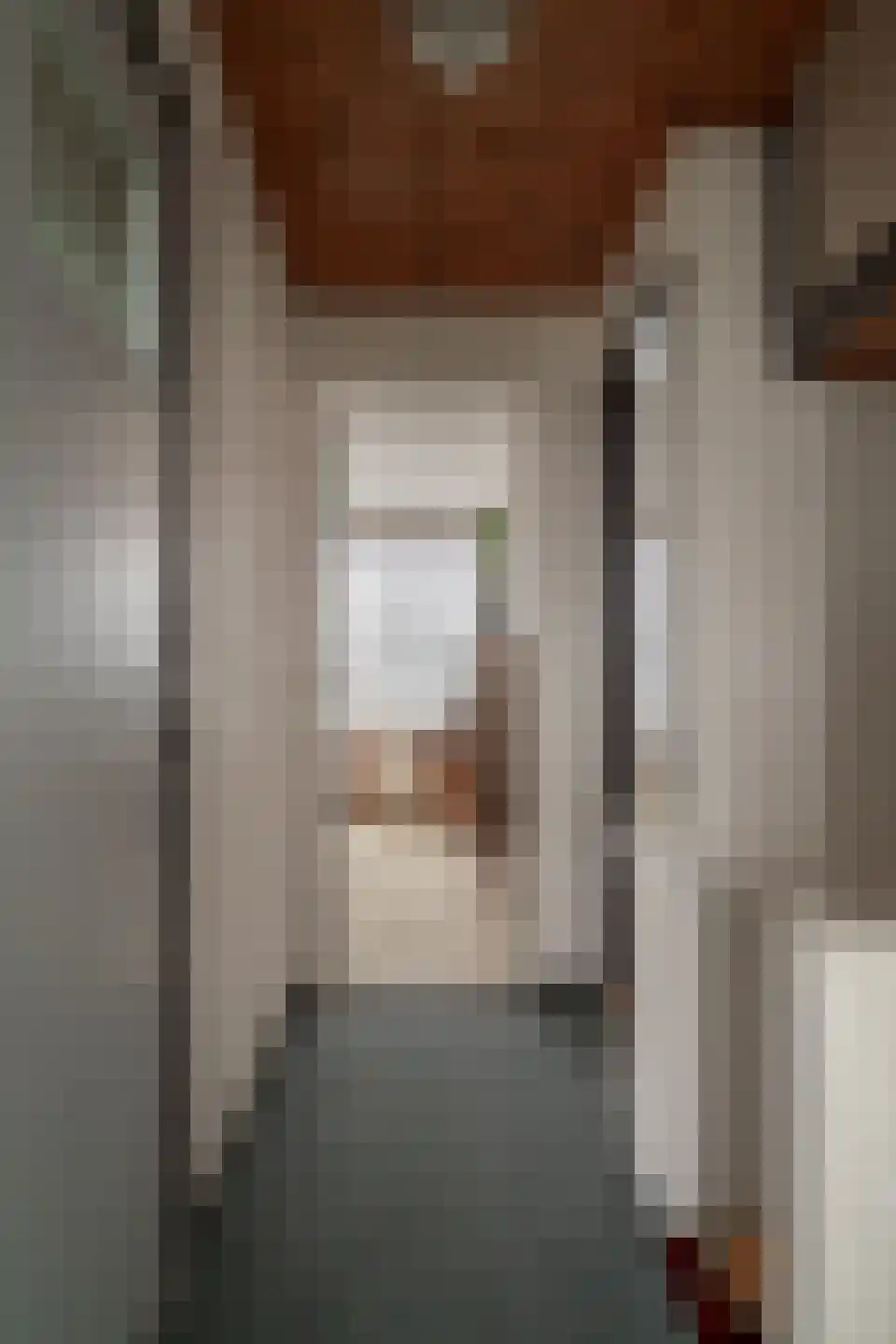 Willem Kloosstraat 24 Zevenaar thumbnail 36