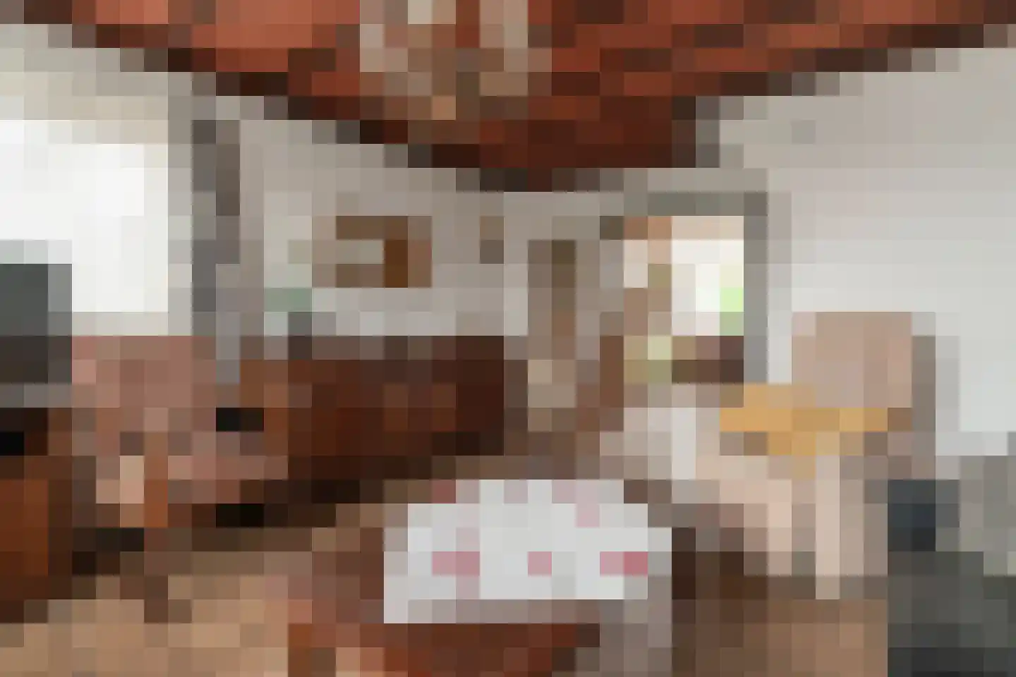 Willem Kloosstraat 24 Zevenaar thumbnail 9