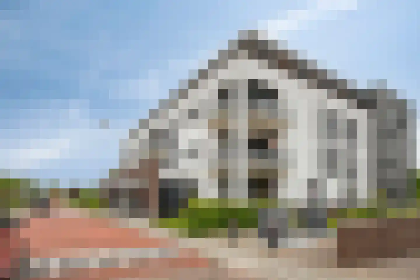 Willem Kloosstraat 26 Terneuzen thumbnail 26