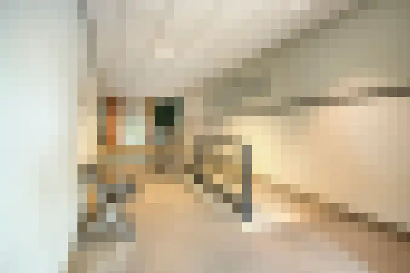 Willem Kloosstraat 26 Terneuzen thumbnail 7
