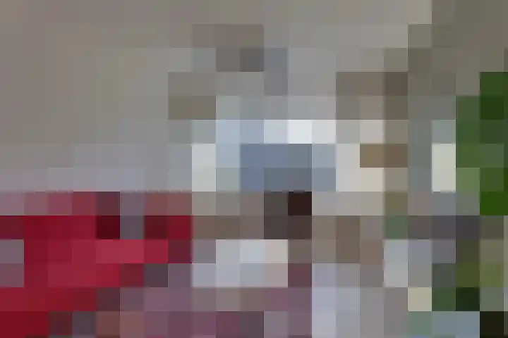 Willem Kloosstraat 27 Nijverdal thumbnail 6