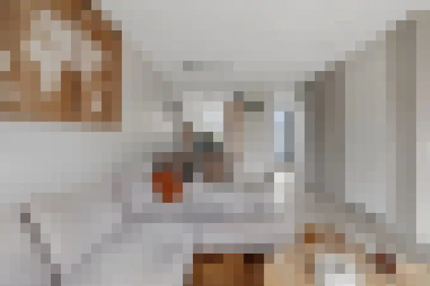 Willem Kloosstraat 32 Waddinxveen thumbnail 6