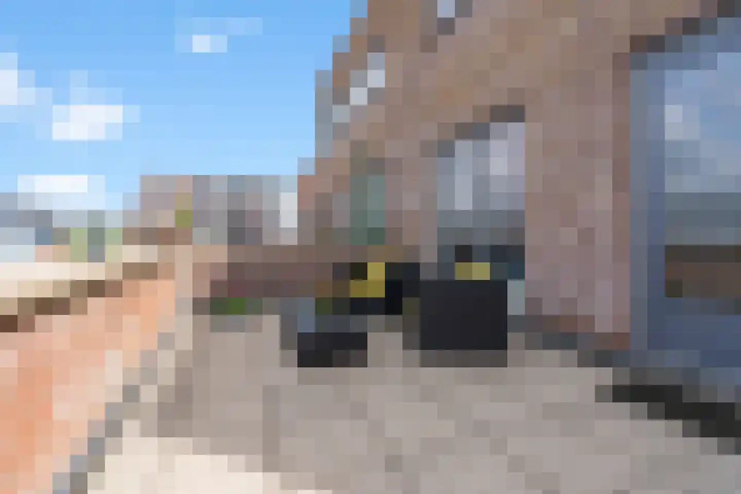 Willem Kloosstraat 38 Waddinxveen thumbnail 18
