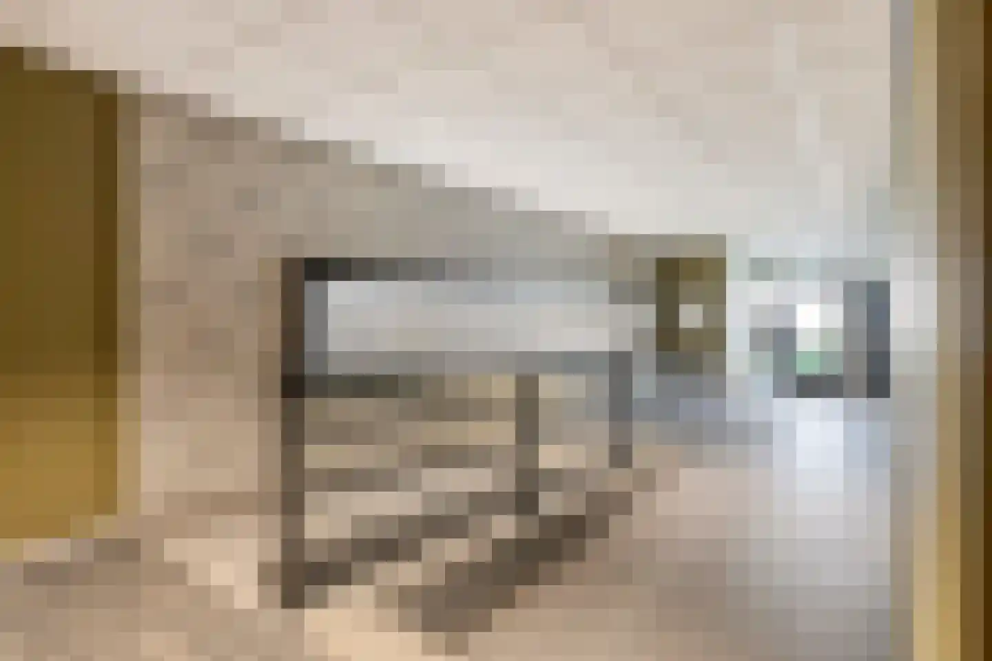Willem Kloosstraat 46 Terneuzen thumbnail 5