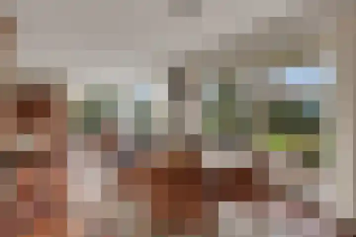 Willem Kloosstraat 6 Nijverdal thumbnail 10