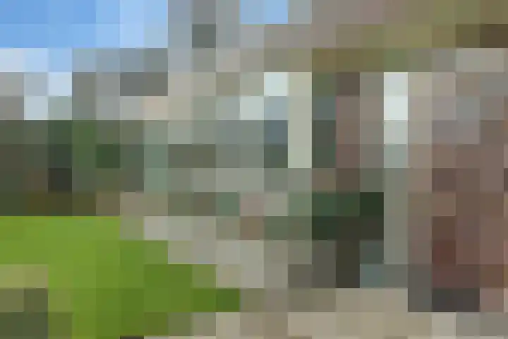 Willem Kloosstraat 6 Nijverdal thumbnail 29
