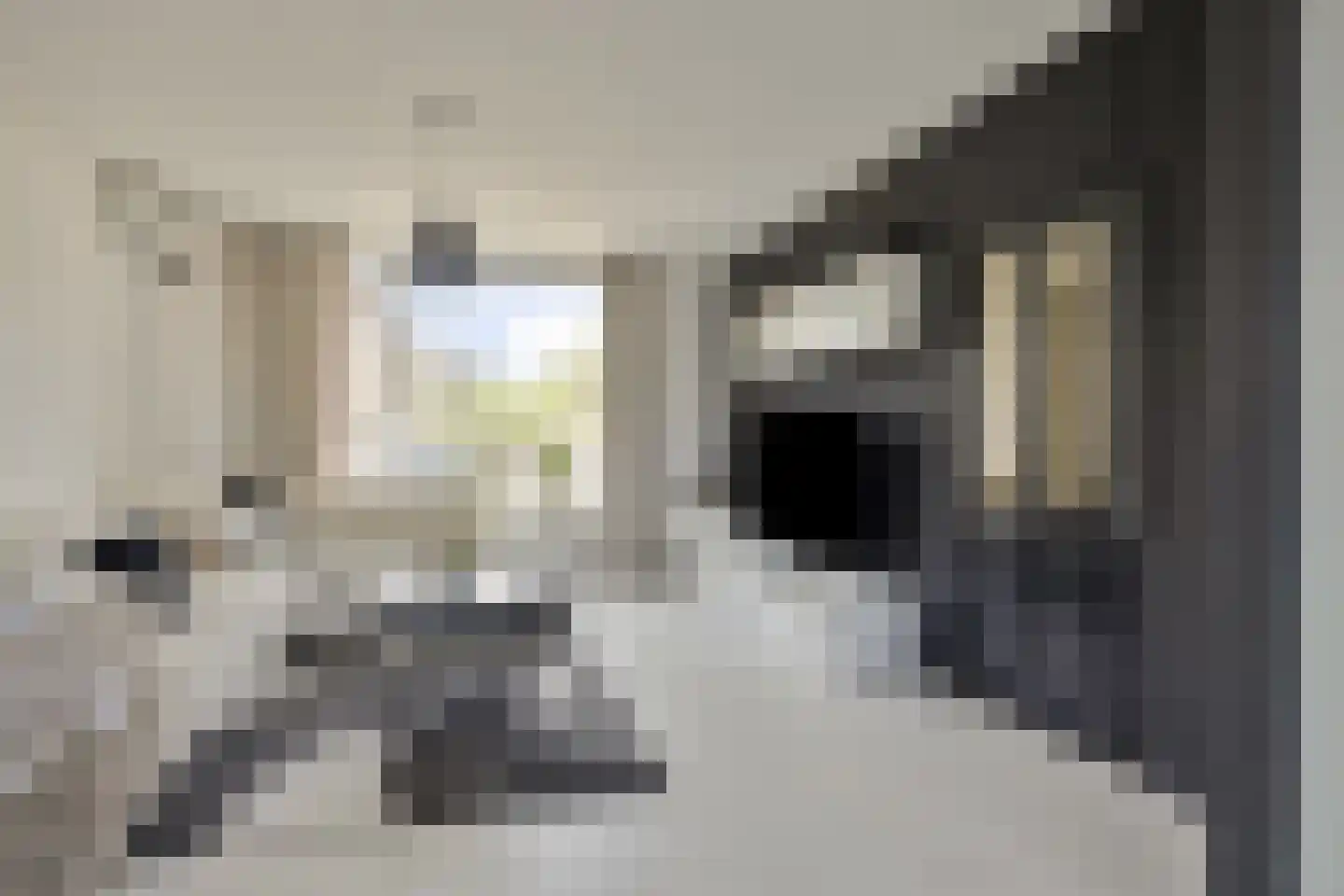 Willem Kloosstraat 6 Spijkenisse thumbnail 12