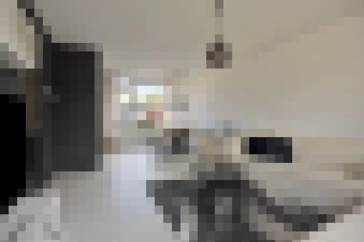 Willem Kloosstraat 6 Spijkenisse thumbnail 13