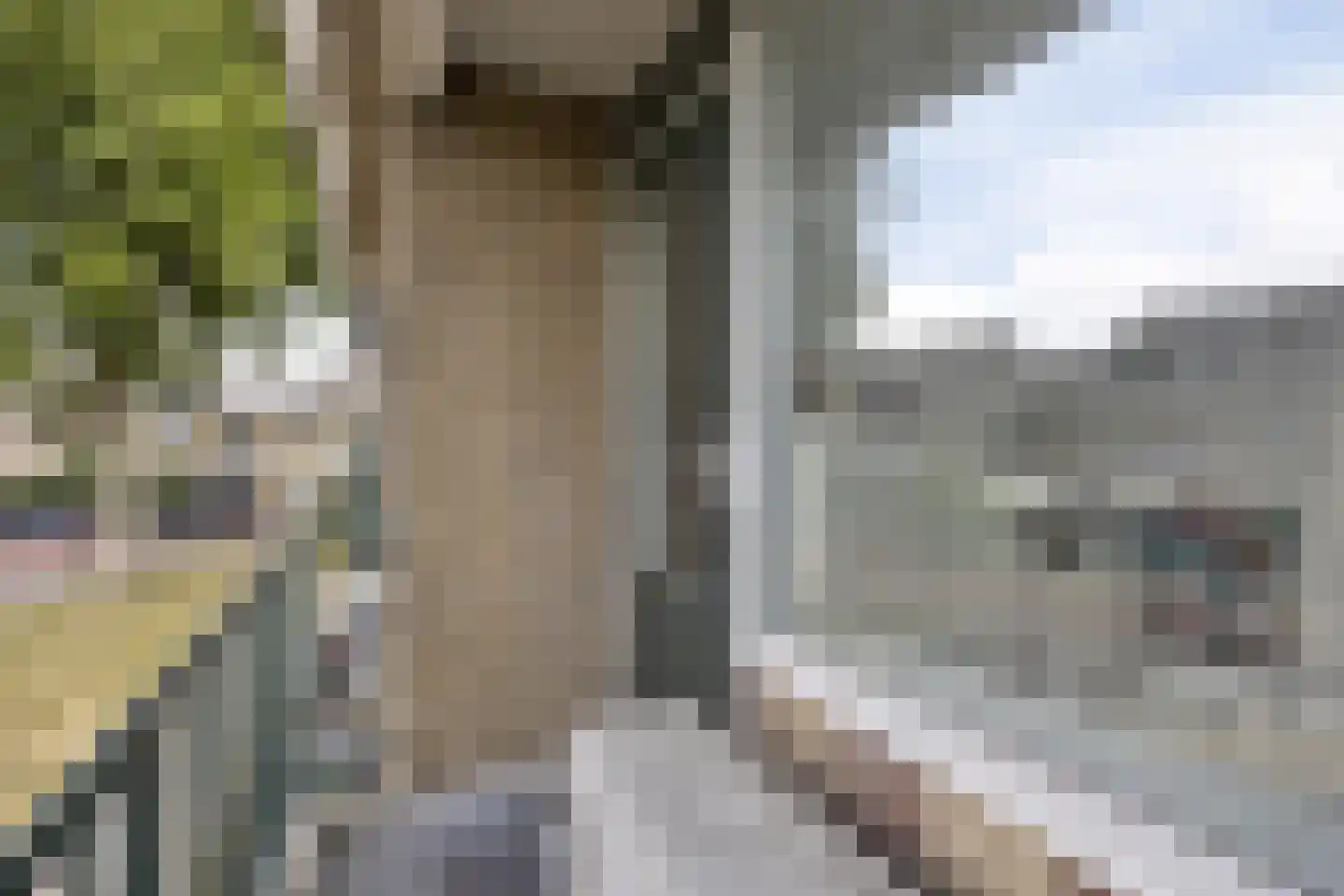 Willem Kloosstraat 6 Spijkenisse thumbnail 30