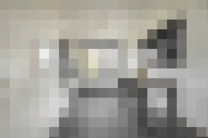 Willem Kloosstraat 6 Waddinxveen thumbnail 10