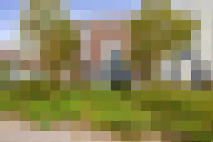 Willem Kloosstraat 6 Waddinxveen thumbnail 4