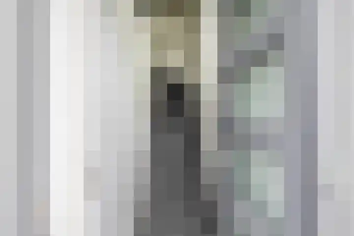 Willem Kloosstraat 6 Waddinxveen thumbnail 6