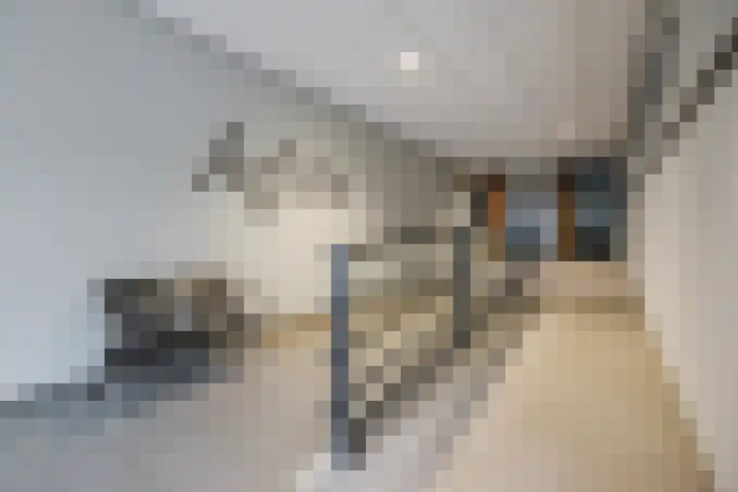 Willem Kloosstraat 8 Terneuzen thumbnail 5