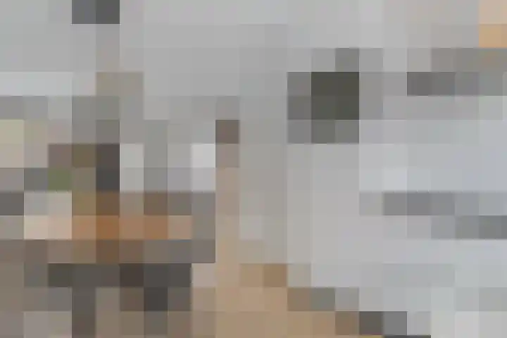 Willem Kloosstraat 9 Waddinxveen thumbnail 10