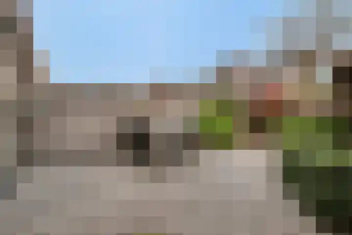 Willem Kloosstraat 9 Waddinxveen thumbnail 30