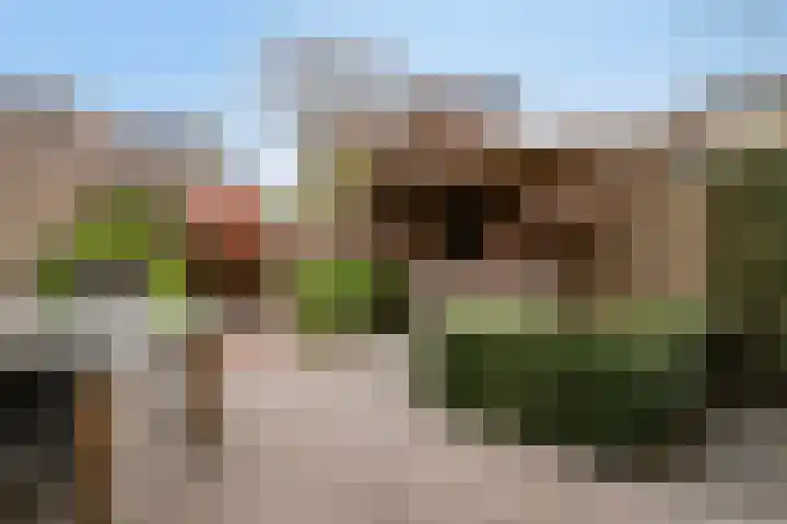 Willem Kloosstraat 9 Waddinxveen thumbnail 31