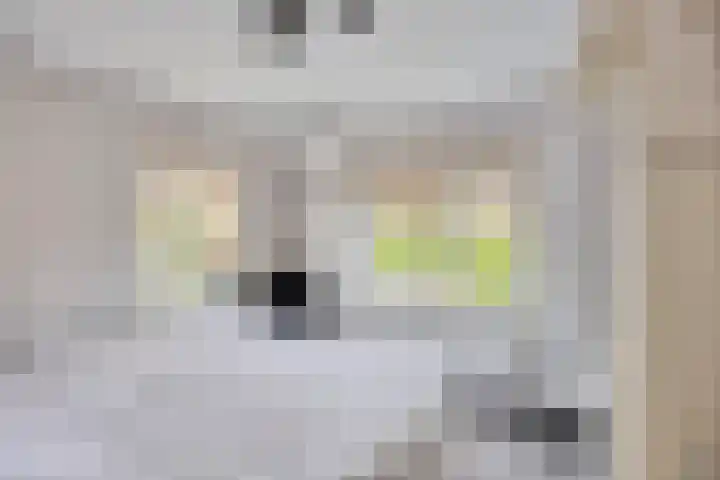 Willem Kloosweg 57 Sliedrecht thumbnail 13