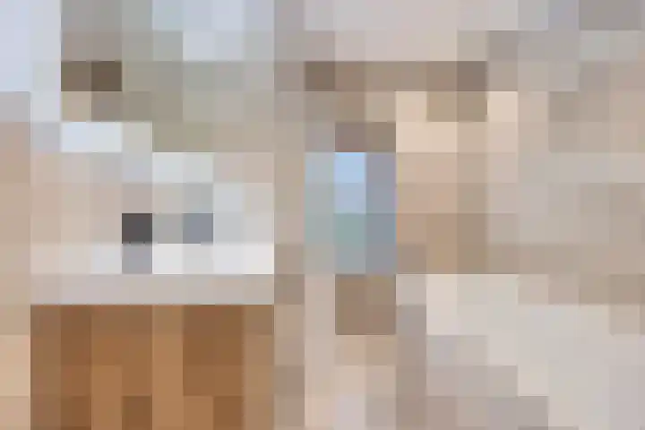 Willem Kloosweg 57 Sliedrecht thumbnail 17