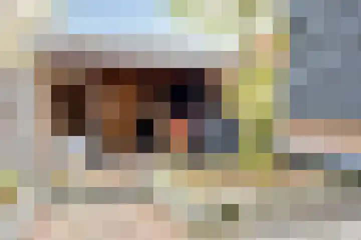 Willem Kloosweg 57 Sliedrecht thumbnail 27