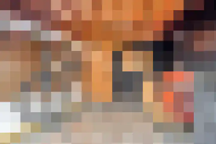 Willem Kloosweg 57 Sliedrecht thumbnail 28