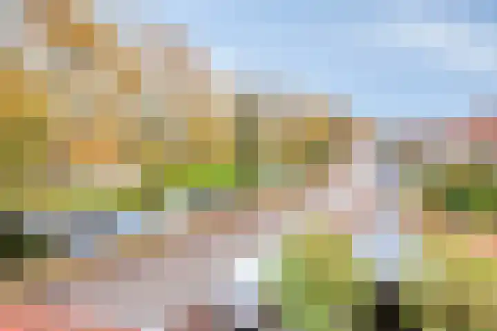 Willem Kloosweg 57 Sliedrecht thumbnail 32