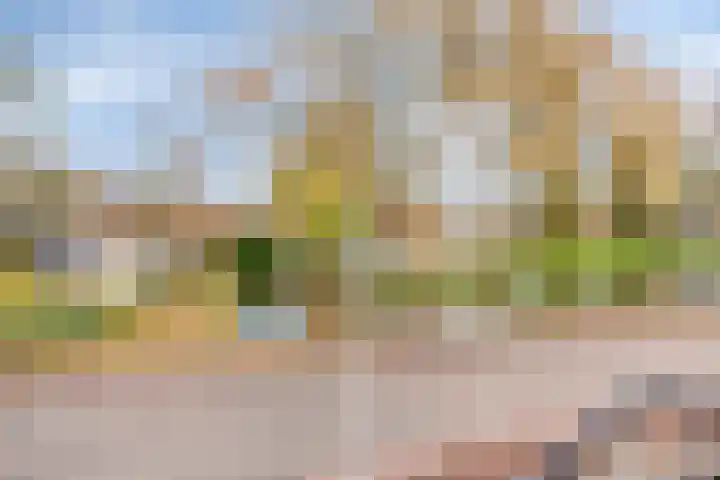Willem Kloosweg 57 Sliedrecht thumbnail 33