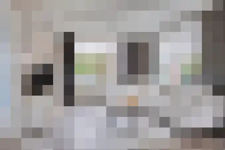 Willem Kloosweg 57 Sliedrecht thumbnail 4