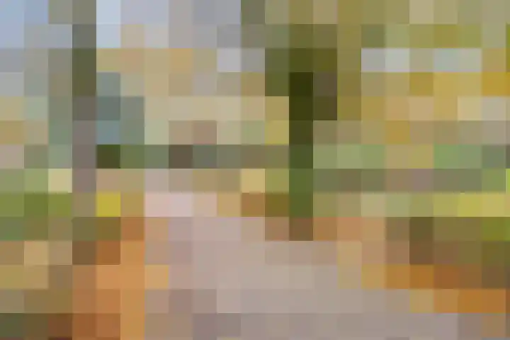 Willem Kloosweg 57 Sliedrecht thumbnail 40