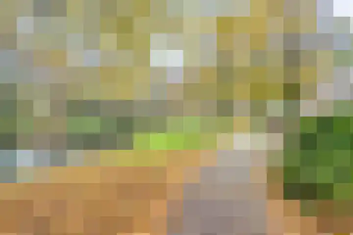 Willem Kloosweg 57 Sliedrecht thumbnail 41