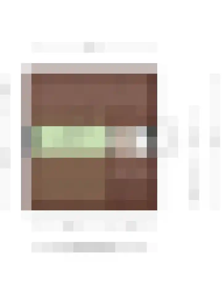 Willem Kloosweg 57 Sliedrecht thumbnail 45