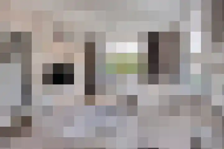 Willem Kloosweg 57 Sliedrecht thumbnail 5