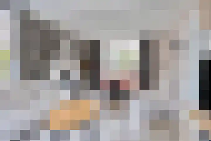 Willem Kloosweg 57 Sliedrecht thumbnail 6