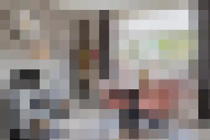 Willem Kloosweg 57 Sliedrecht thumbnail 7