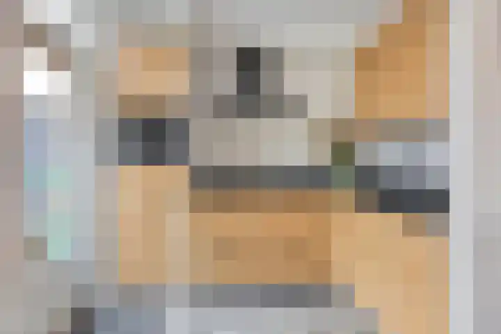 Willem Kloosweg 57 Sliedrecht thumbnail 9