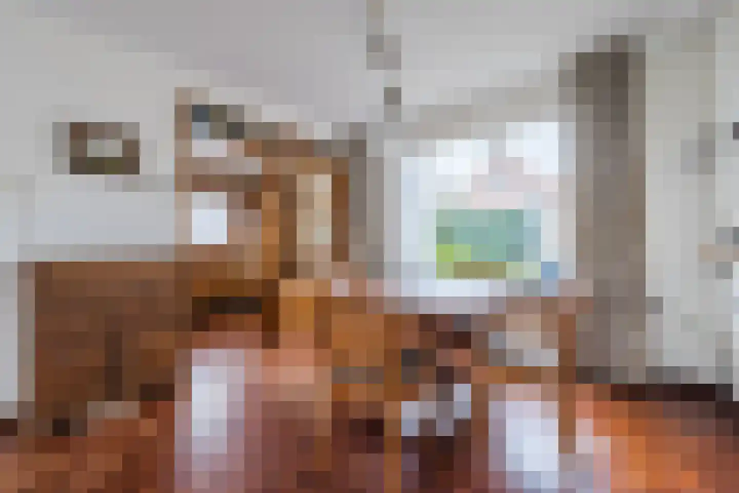 Willem Knaapenstraat 17 Geldrop thumbnail 11