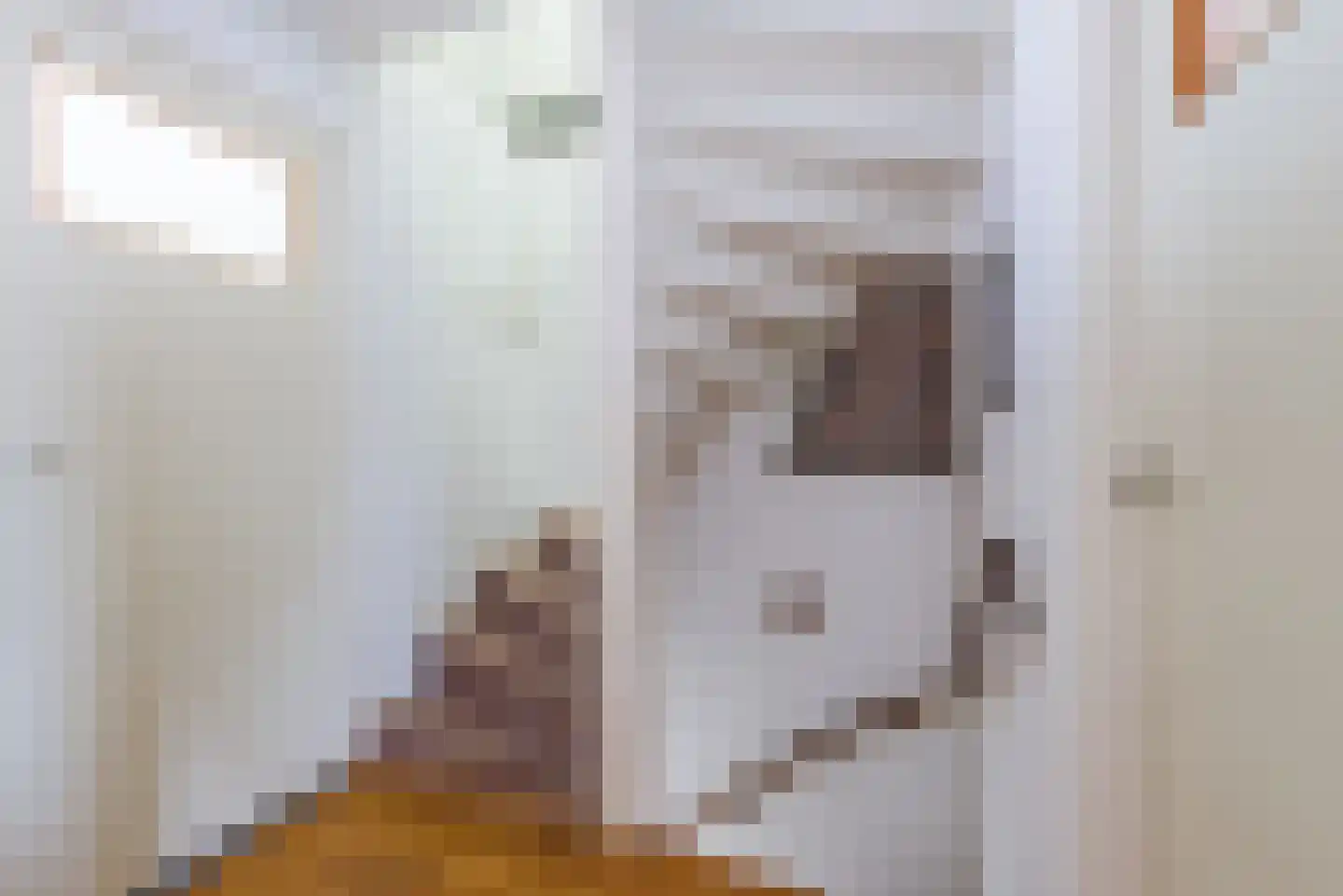 Willem Knaapenstraat 17 Geldrop thumbnail 16