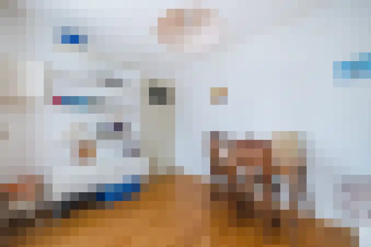 Willem Knaapenstraat 17 Geldrop thumbnail 20